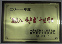 鎮江新區2011年度“強投入、快產出”十佳項目